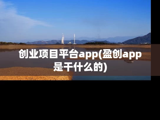 创业项目平台app(盈创app是干什么的)