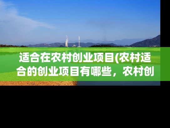 适合在农村创业项目(农村适合的创业项目有哪些，农村创业的好项目推荐)