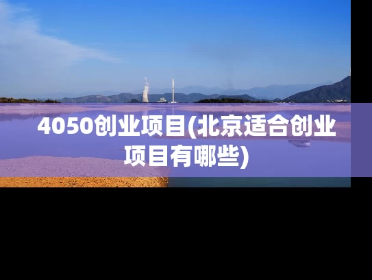 4050创业项目(北京适合创业项目有哪些)