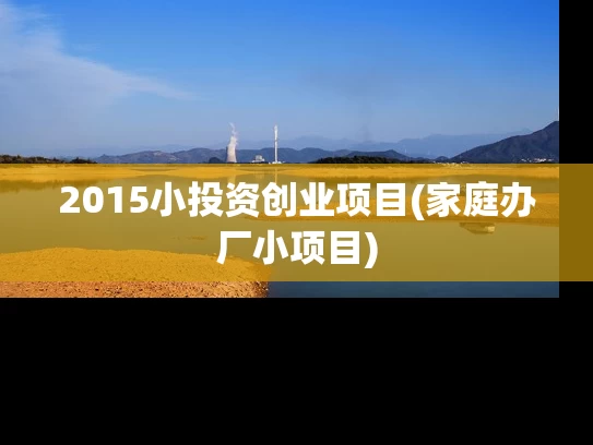 2015小投资创业项目(家庭办厂小项目)