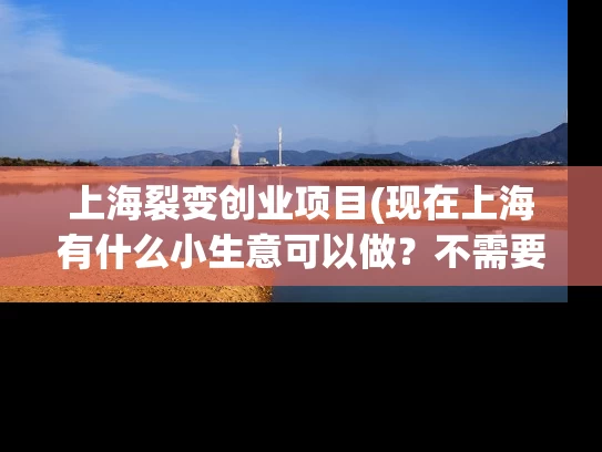 上海裂变创业项目(现在上海有什么小生意可以做？不需要多少投资，！)