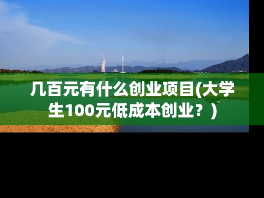 几百元有什么创业项目(大学生100元低成本创业？)