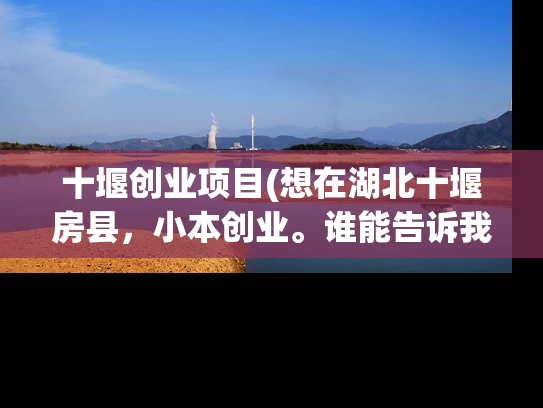 十堰创业项目(想在湖北十堰房县，小本创业。谁能告诉我什么项目好？)
