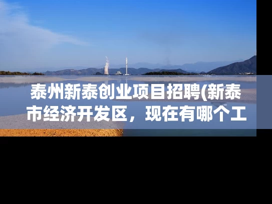 泰州新泰创业项目招聘(新泰市经济开发区，现在有哪个工厂在招工？主要招普工，操作工的！)