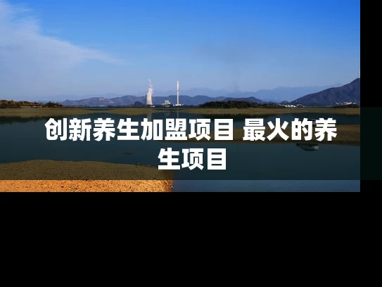 创新养生加盟项目 最火的养生项目