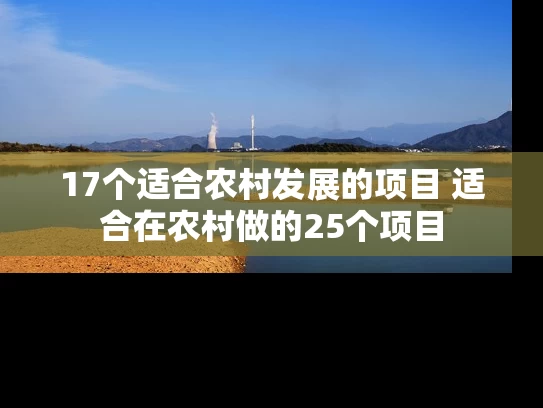 17个适合农村发展的项目 适合在农村做的25个项目