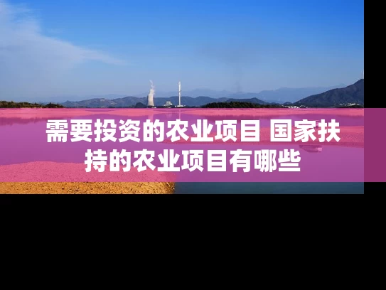 需要投资的农业项目 国家扶持的农业项目有哪些