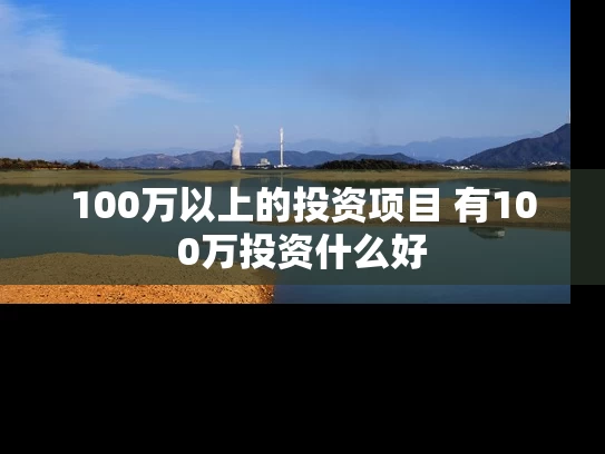 100万以上的投资项目 有100万投资什么好 100万以上的投资项目 有100万投资什么好