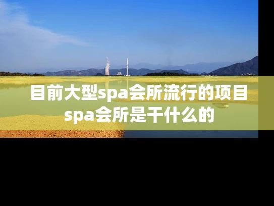 目前大型spa会所流行的项目 spa会所是干什么的