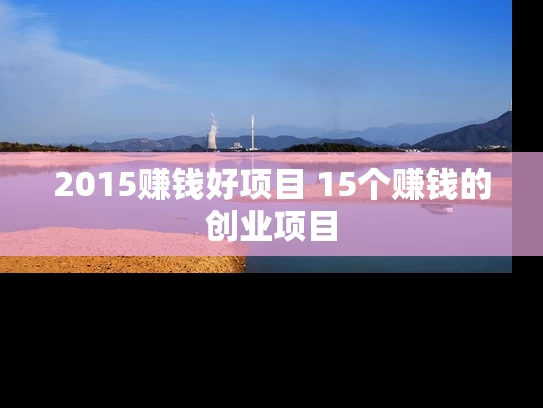 2015赚钱好项目 15个赚钱的创业项目