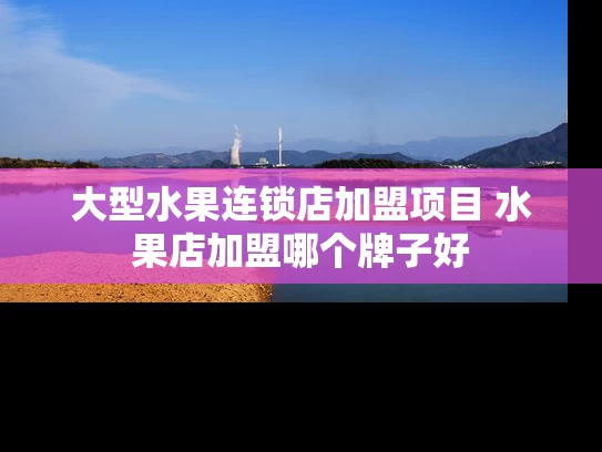 大型水果连锁店加盟项目 水果店加盟哪个牌子好