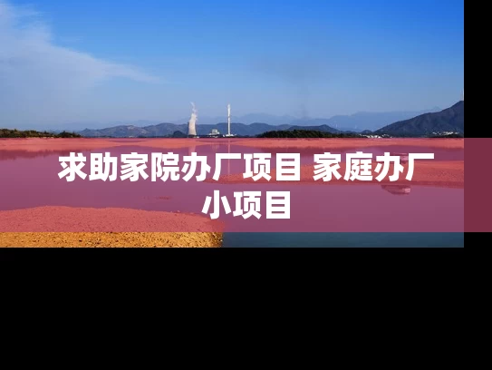 求助家院办厂项目 家庭办厂小项目