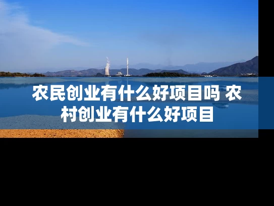 农民创业有什么好项目吗 农村创业有什么好项目