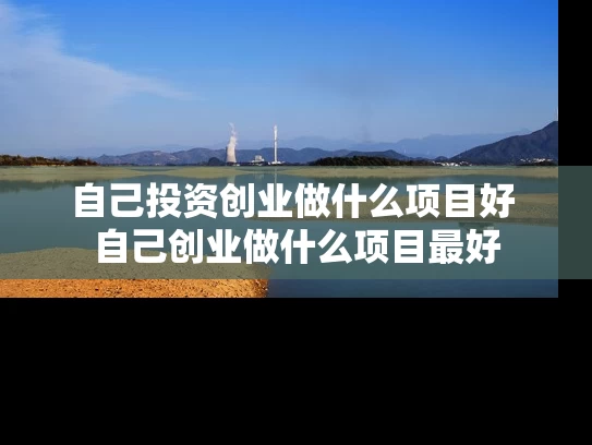 自己投资创业做什么项目好 自己创业做什么项目最好