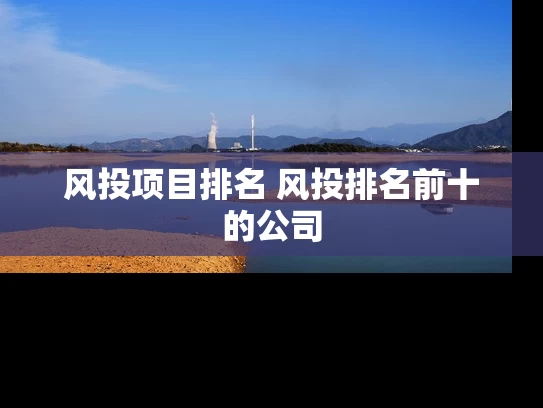风投项目排名 风投排名前十的公司