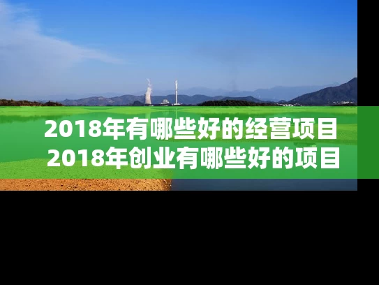 2018年有哪些好的经营项目 2018年创业有哪些好的项目