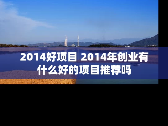 2014好项目 2014年创业有什么好的项目推荐吗