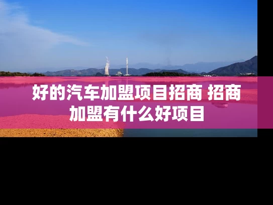 好的汽车加盟项目招商 招商加盟有什么好项目