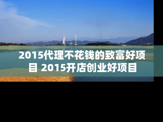 2015代理不花钱的致富好项目 2015开店创业好项目
