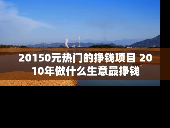 20150元热门的挣钱项目 2010年做什么生意最挣钱