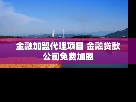金融加盟代理项目 金融贷款公司免费加盟