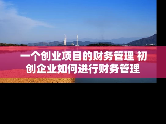 一个创业项目的财务管理 初创企业如何进行财务管理