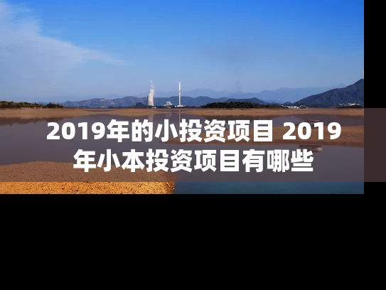 2019年的小投资项目 2019年小本投资项目有哪些