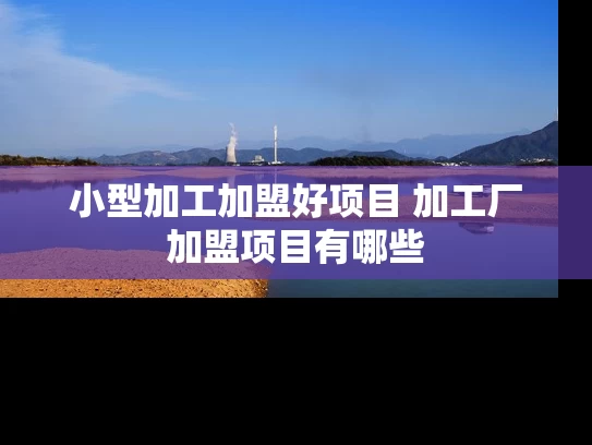 小型加工加盟好项目 加工厂加盟项目有哪些