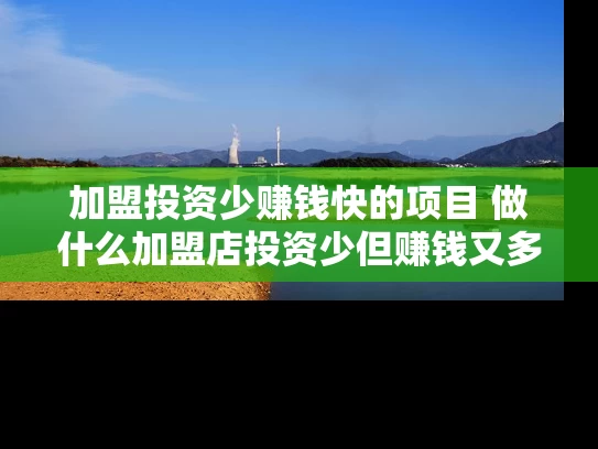 加盟投资少赚钱快的项目 做什么加盟店投资少但赚钱又多 加盟投资少赚钱快的项目 做什么加盟店投资少但赚钱又多