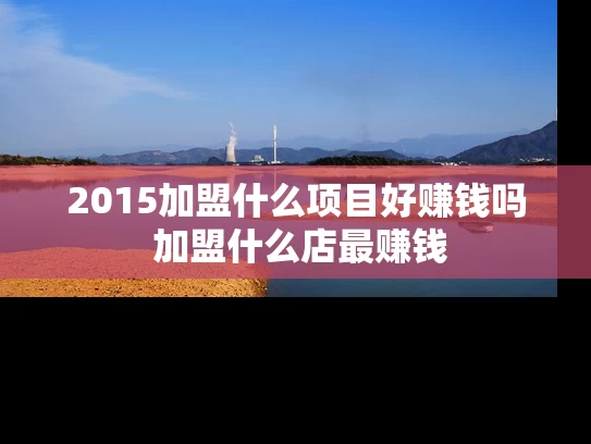 2015加盟什么项目好赚钱吗 加盟什么店最赚钱