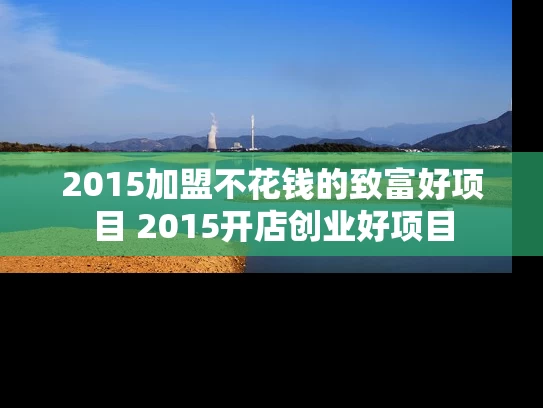 2015加盟不花钱的致富好项目 2015开店创业好项目