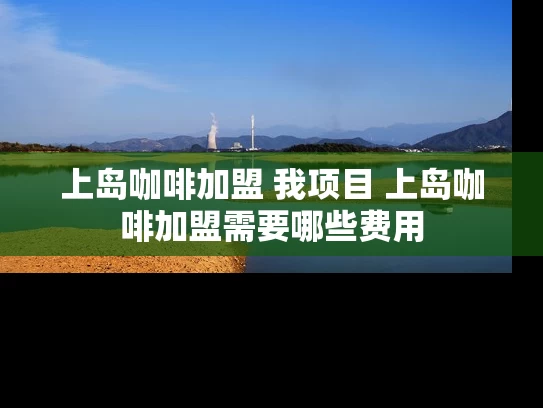 上岛咖啡加盟 我项目 上岛咖啡加盟需要哪些费用