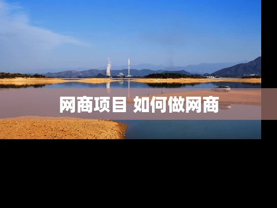 网商项目 如何做网商 网商项目 如何做网商