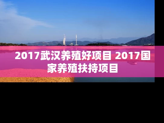 2017武汉养殖好项目 2017国家养殖扶持项目