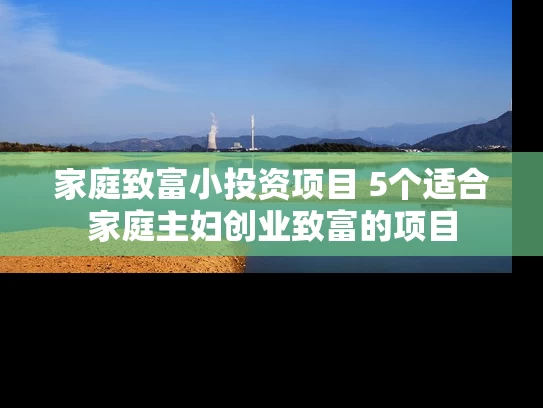 家庭致富小投资项目 5个适合家庭主妇创业致富的项目