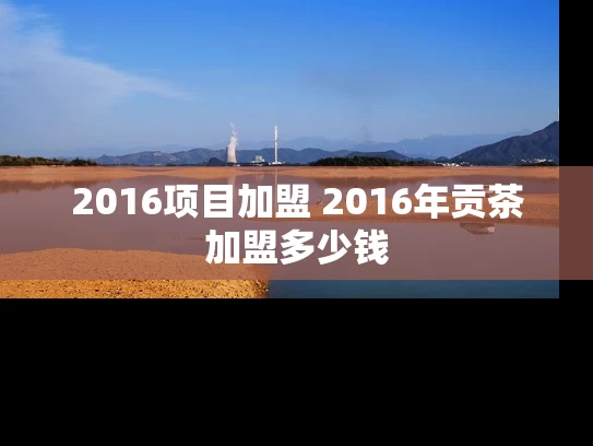 2016项目加盟 2016年贡茶加盟多少钱