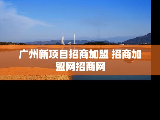 广州新项目招商加盟 招商加盟网招商网