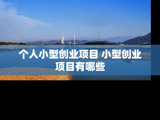 个人小型创业项目 小型创业项目有哪些 个人小型创业项目 小型创业项目有哪些