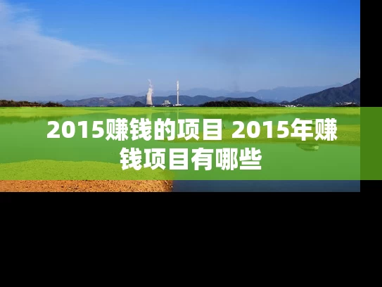 2015赚钱的项目 2015年赚钱项目有哪些