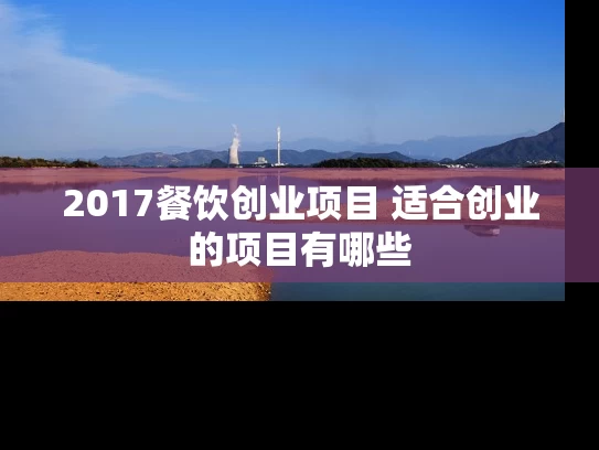 2017餐饮创业项目 适合创业的项目有哪些 2017餐饮创业项目 适合创业的项目有哪些