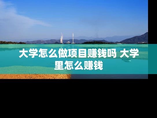 大学怎么做项目赚钱吗 大学里怎么赚钱