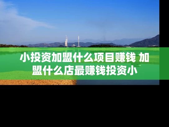 小投资加盟什么项目赚钱 加盟什么店最赚钱投资小 小投资加盟什么项目赚钱 加盟什么店最赚钱投资小