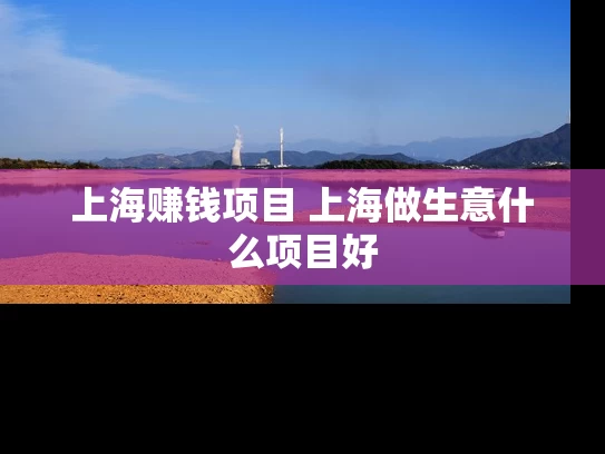上海赚钱项目 上海做生意什么项目好 上海赚钱项目 上海做生意什么项目好