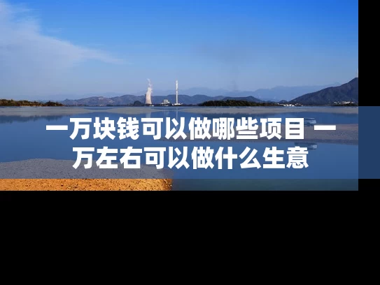一万块钱可以做哪些项目 一万左右可以做什么生意 一万块钱可以做哪些项目 一万左右可以做什么生意