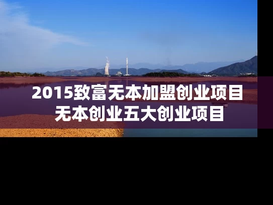 2015致富无本加盟创业项目 无本创业五大创业项目