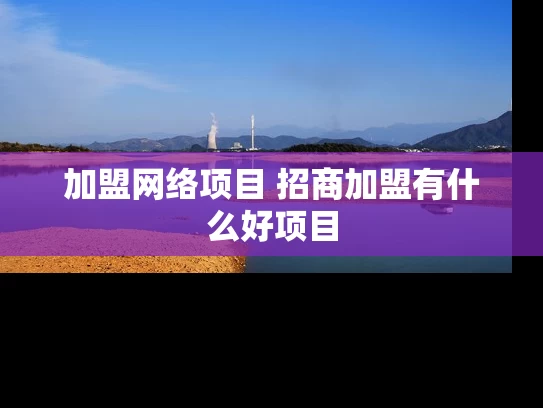 加盟网络项目 招商加盟有什么好项目 加盟网络项目 招商加盟有什么好项目