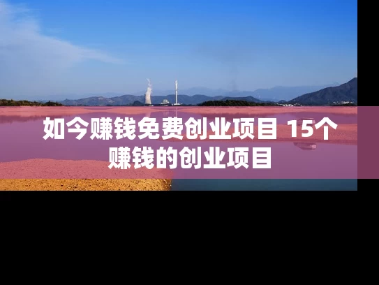 如今赚钱免费创业项目 15个赚钱的创业项目 如今赚钱免费创业项目 15个赚钱的创业项目