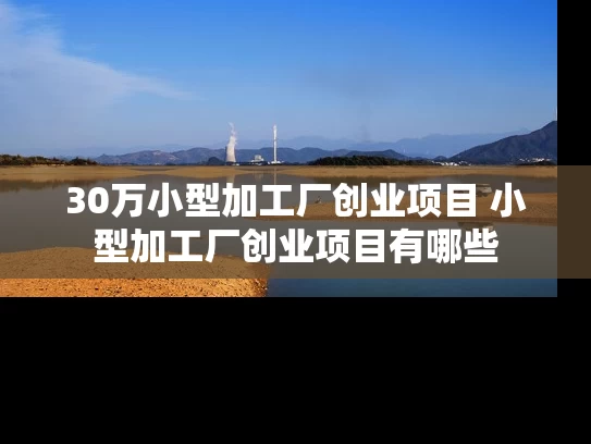 30万小型加工厂创业项目 小型加工厂创业项目有哪些 30万小型加工厂创业项目 小型加工厂创业项目有哪些