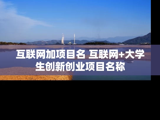 互联网加项目名 互联网+大学生创新创业项目名称