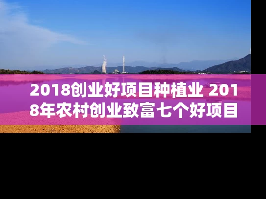 2018创业好项目种植业 2018年农村创业致富七个好项目介绍 2018创业好项目种植业 2018年农村创业致富七个好项目介绍